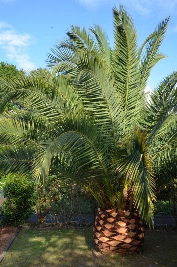 Villa Uhaina ビアリッツ エクステリア 写真